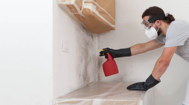 Professional Mold Testing technician working in Union, NJ