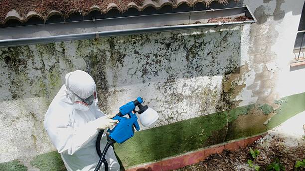 Trusted Mold Testing service in Union, NJ - Cheap Mold Removal